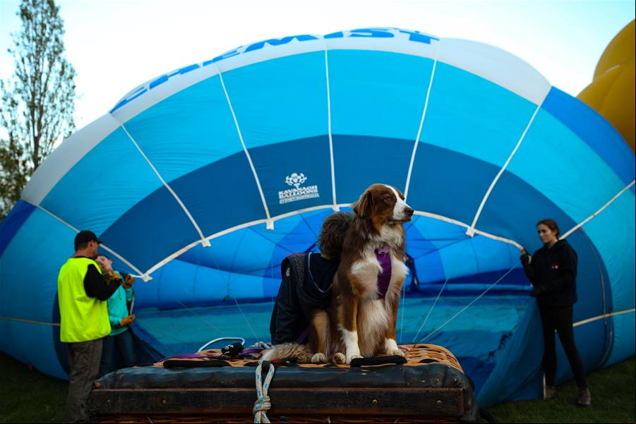 El festival Globo Espectacular de Canberra 2020 en Australia