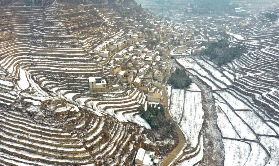 Campos aterrazados cubiertos de nieve en Handan, Hebei