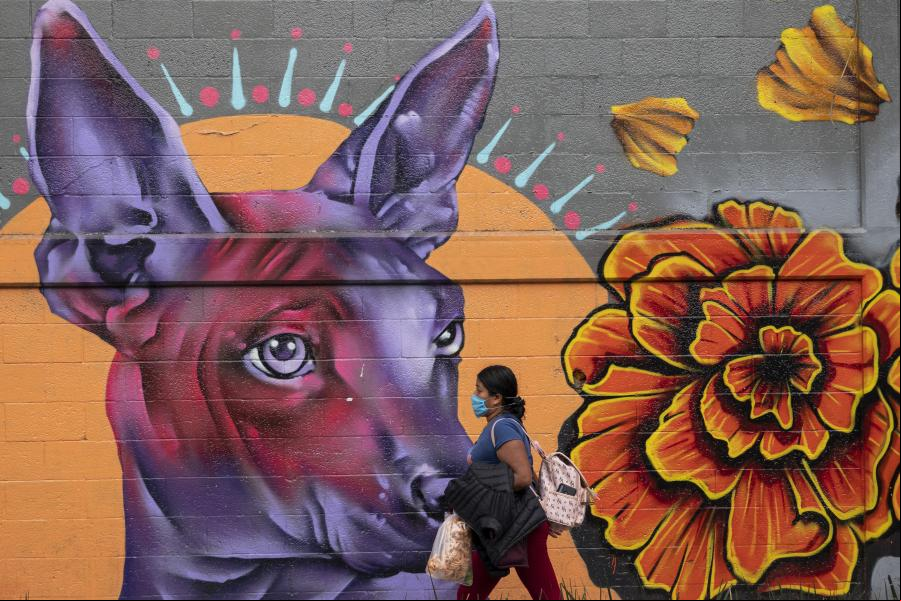 Vida cotidiana en la Ciudad de México