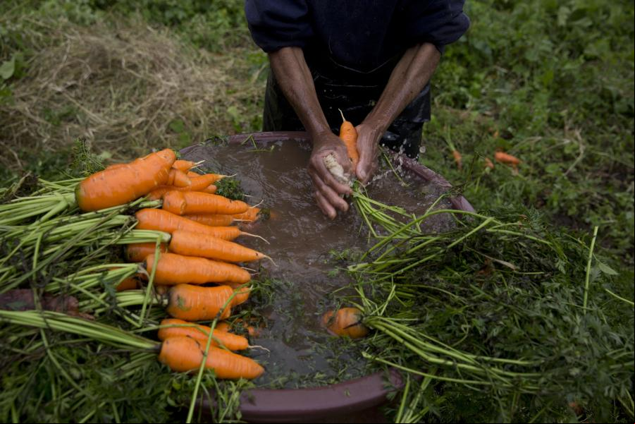 Vida cotidiana en Honduras