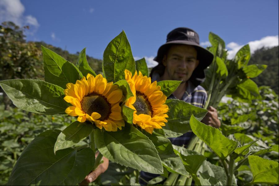 Vida cotidiana en Honduras
