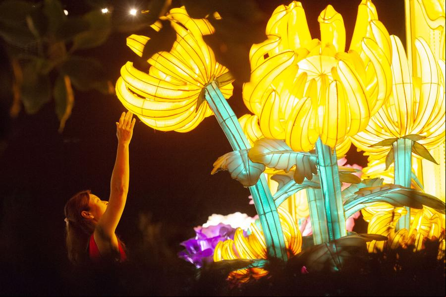 Exhibición floral "Sueños de Dalia" en Singapur