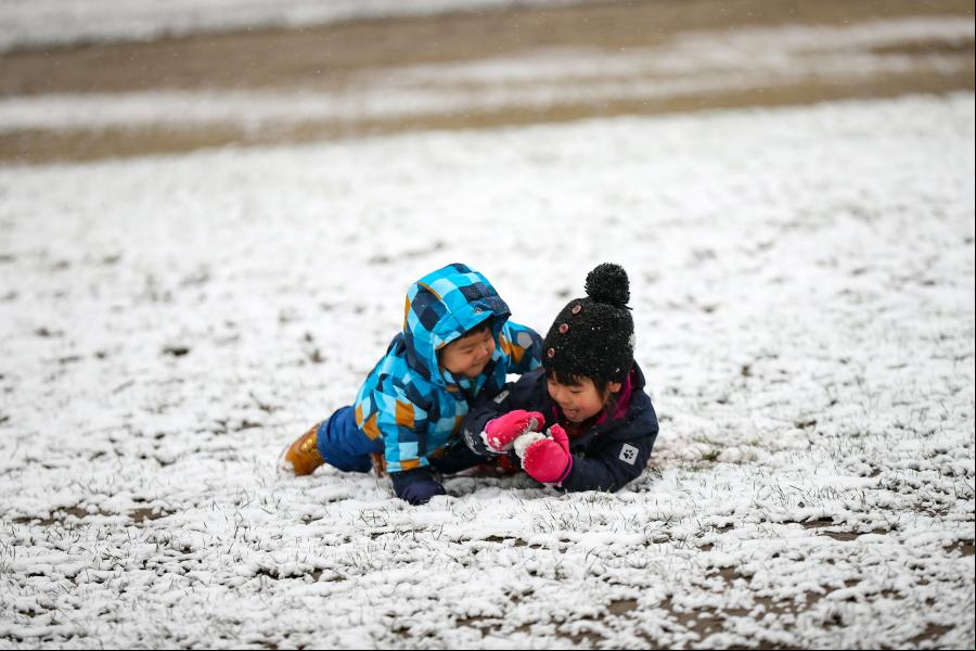 Parque del Cincuentenario cubierto por la nieve en Bélgica