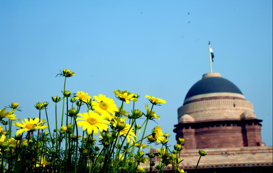 Flores en los Jardines Mogoles en Nueva Delhi, India