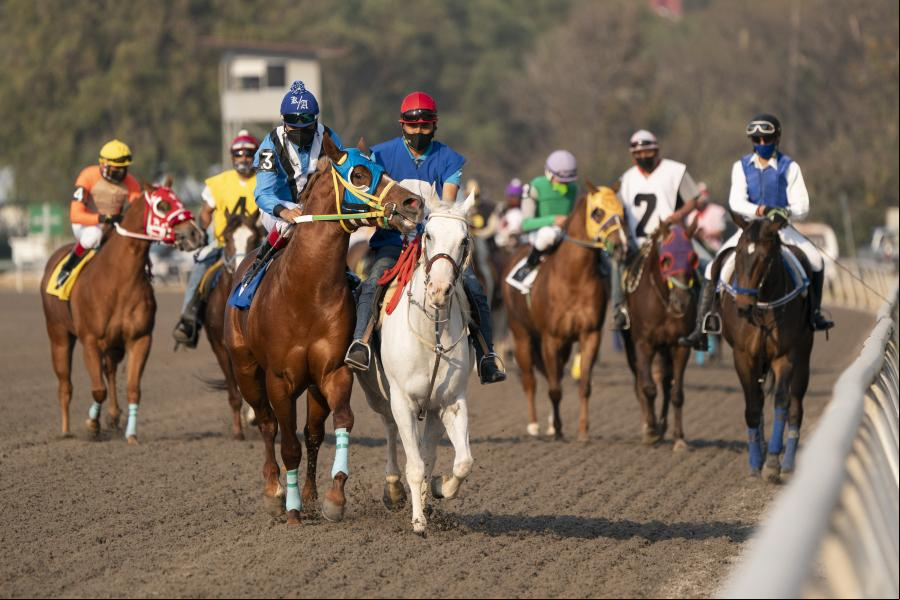 Carrera en Hipódromo de las Américas en Ciudad de México