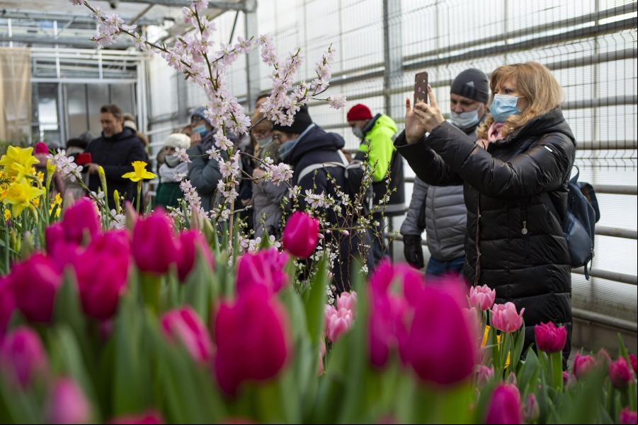 Exhibición de flores en Moscú, Rusia