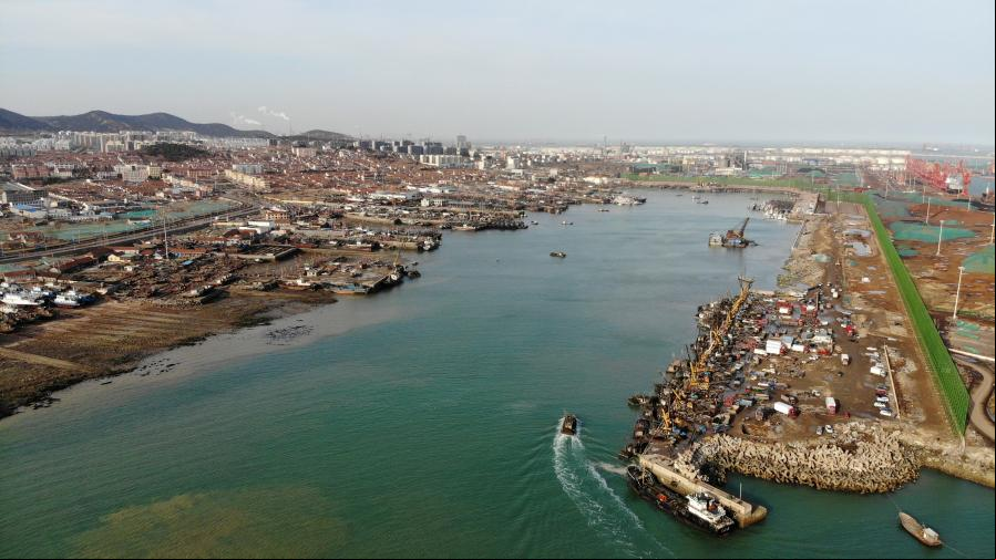 Mejillones producidos en Rizhao representan más del 60% de cuota de mercado en China