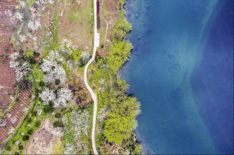 Paisaje de principios de primavera de la aldea de Qiulin en Guizhou