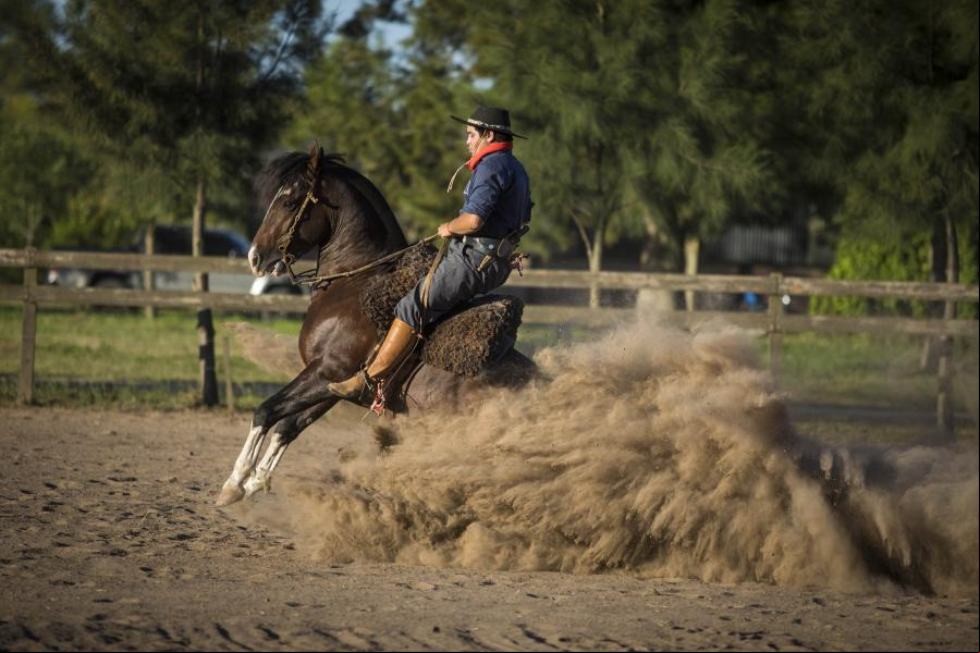 Centro de entrenamiento equino "El Comentario" en Argentina