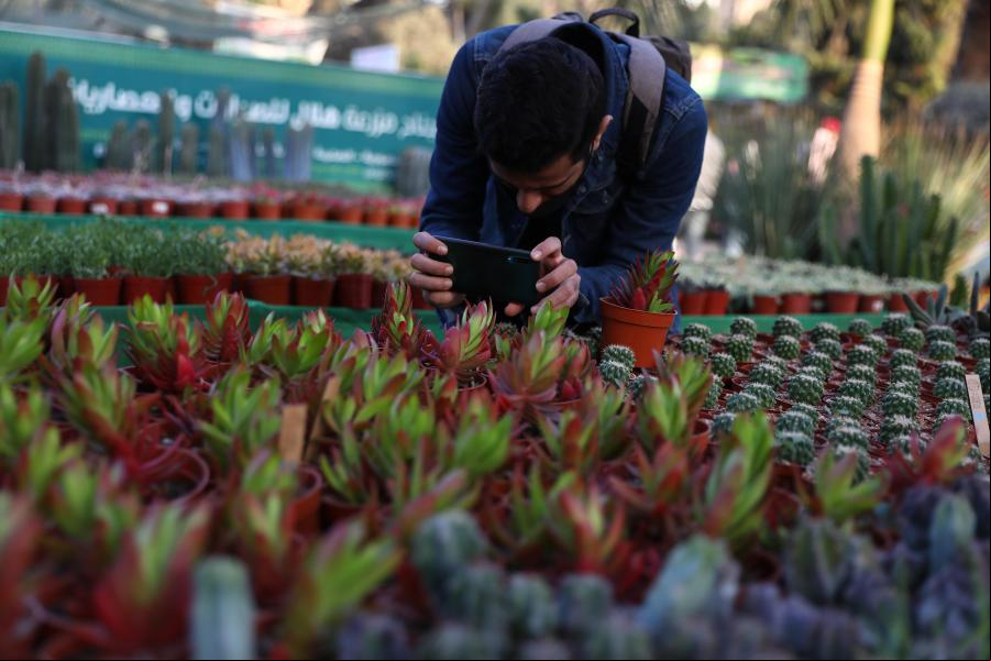 Exposición anual de flores en Giza, Egipto