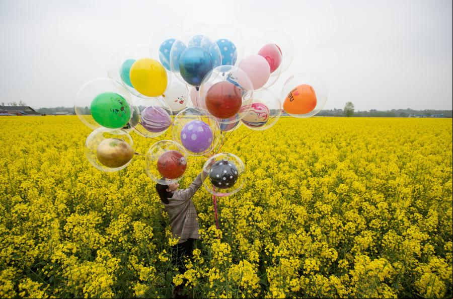 Flores de colza en Mianyang, Sichuan