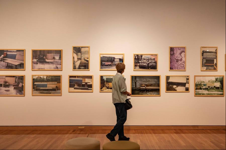 Exposición "Hábitat: Formas de vida" en Australia