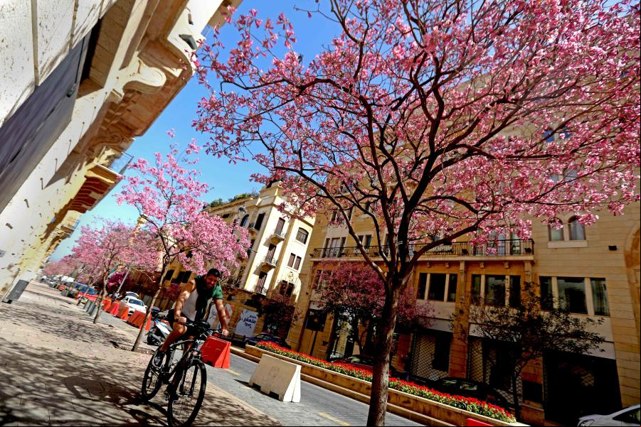 Flores en Beirut, Líbano