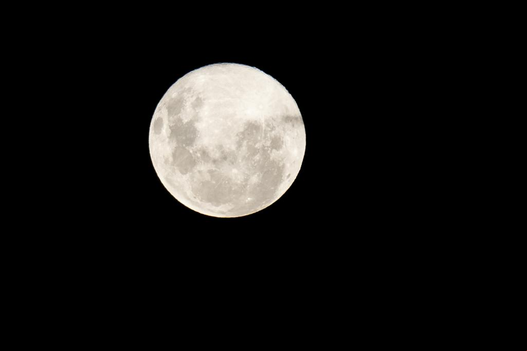 Argentina: "Luna de Gusano"