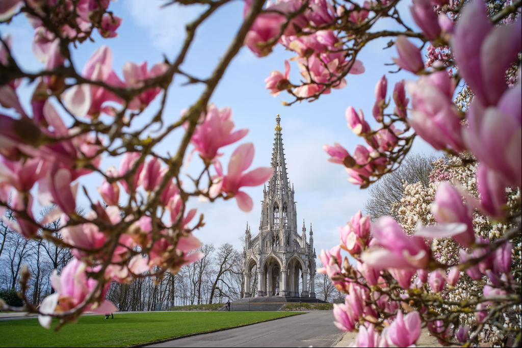 Primavera en Bruselas, Bélgica